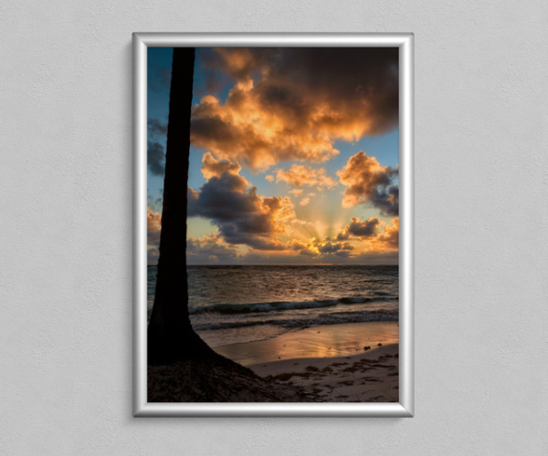 Без названия