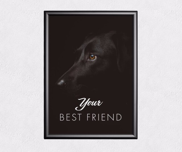 Без названия