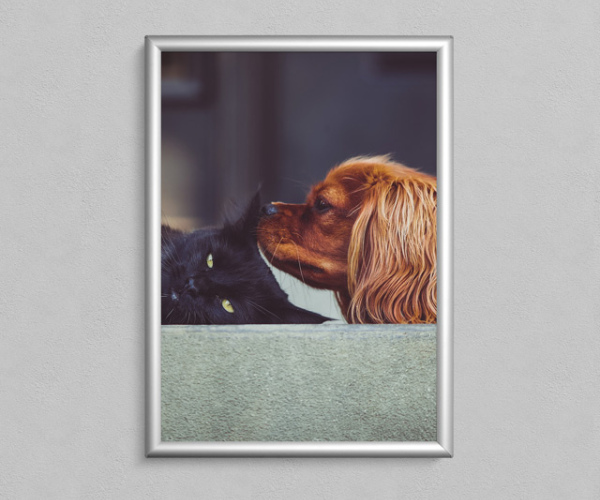 Без названия